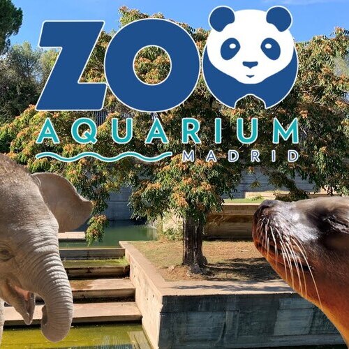 Zoo