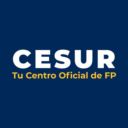 cesur logo